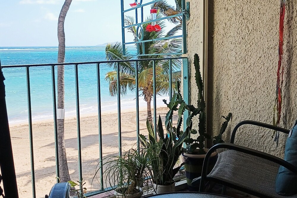 Photo of Outdoor in Orange Grove
