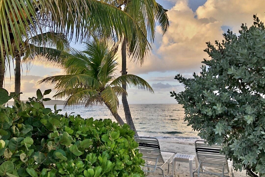 Photo of Outdoor in Teagues Bay