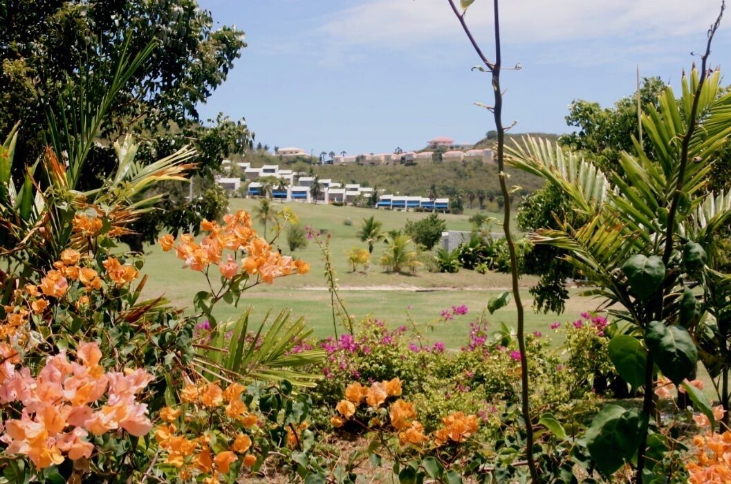 Photo of Outdoor in Teagues Bay
