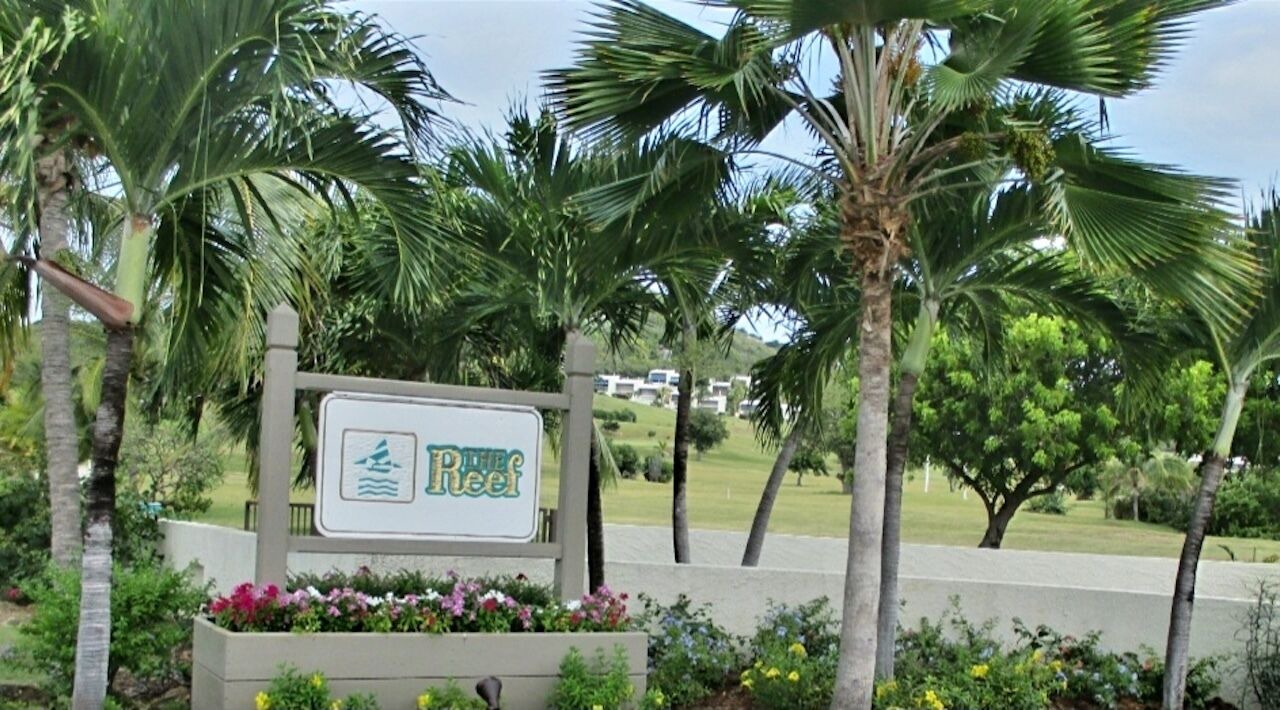 Photo of Outdoor in Teagues Bay