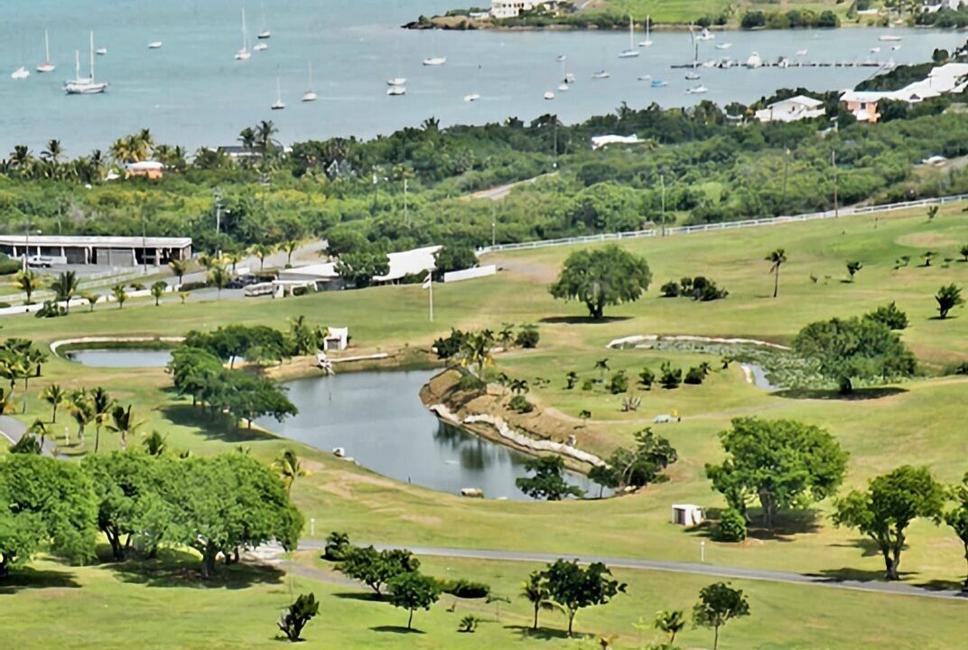 Photo of Others in Teagues Bay
