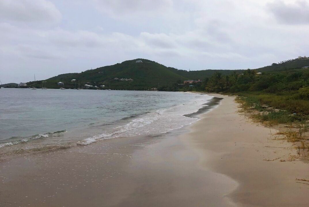 Photo of Others in Teagues Bay