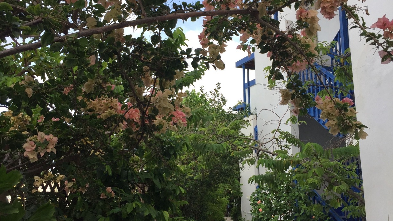 Photo of Outdoor in Christiansted