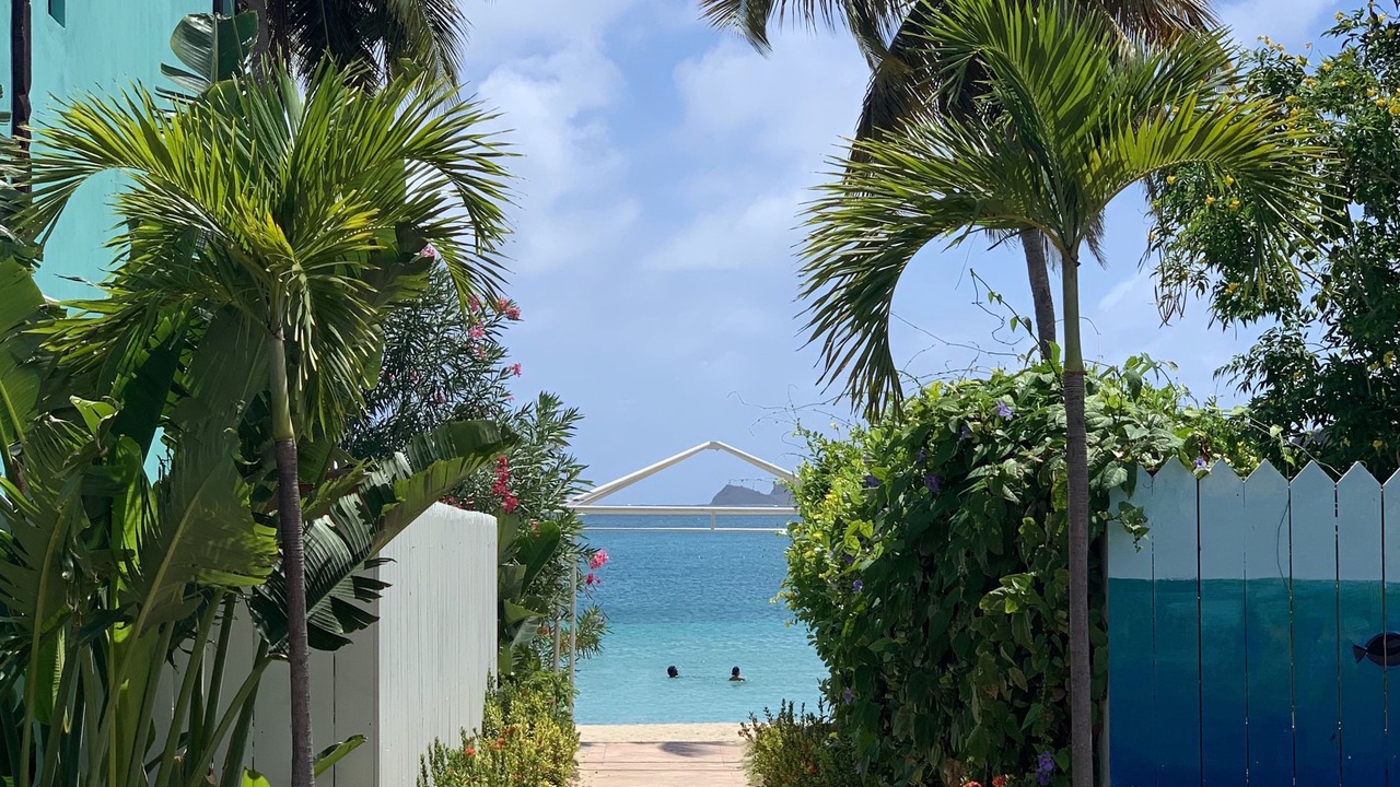 Photo of Outdoor in Charlotte Amalie West