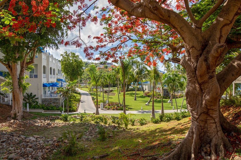 Photo of Outdoor in Flag Hill