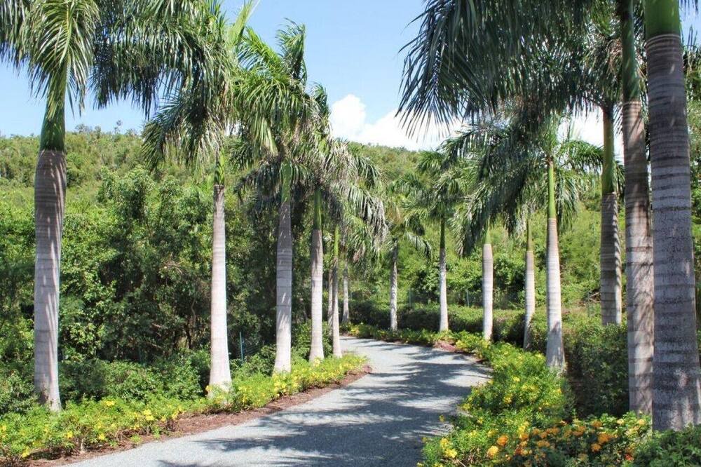 Photo of Others in Estate Little Saint Thomas
