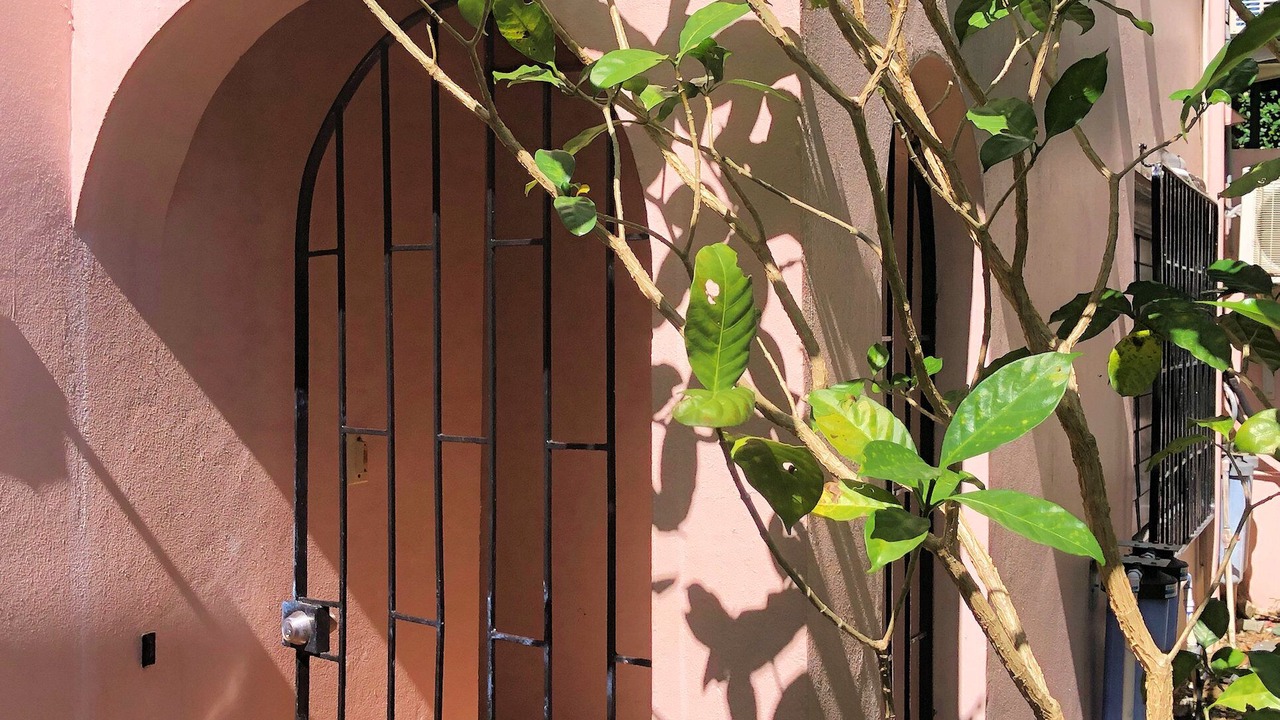 Photo of Others in Christiansted