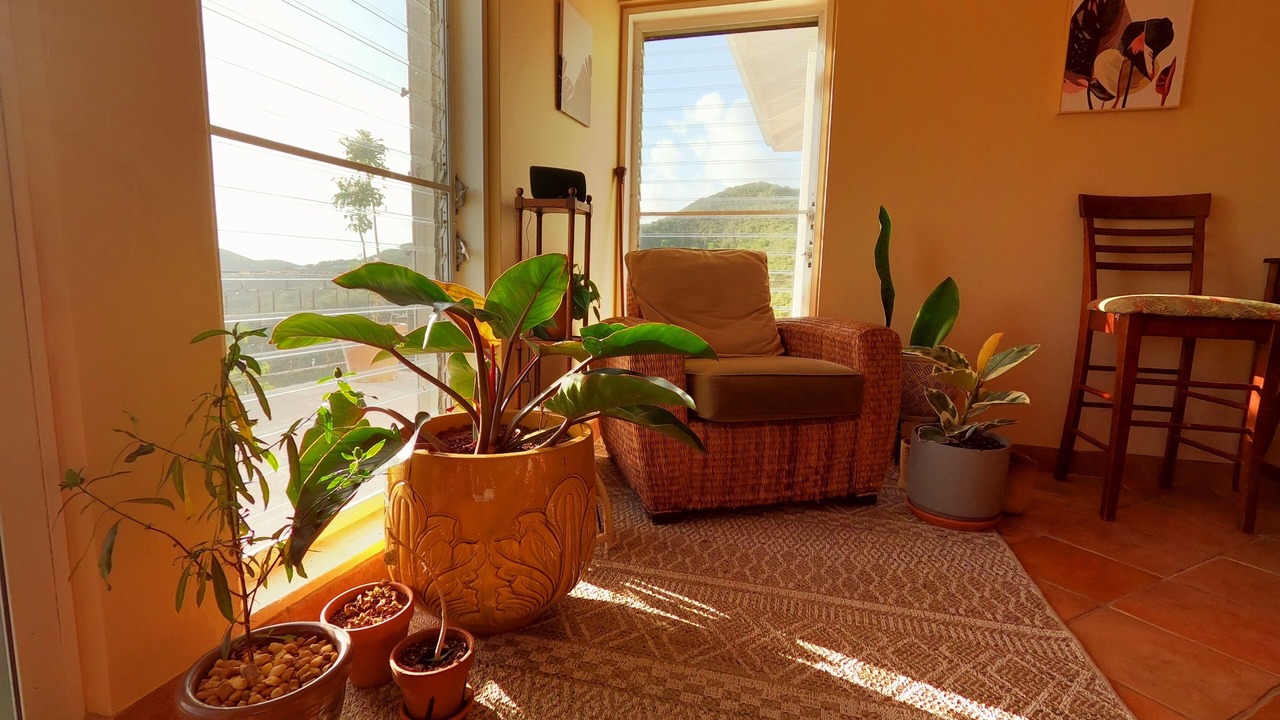 Photo of Others in Christiansted