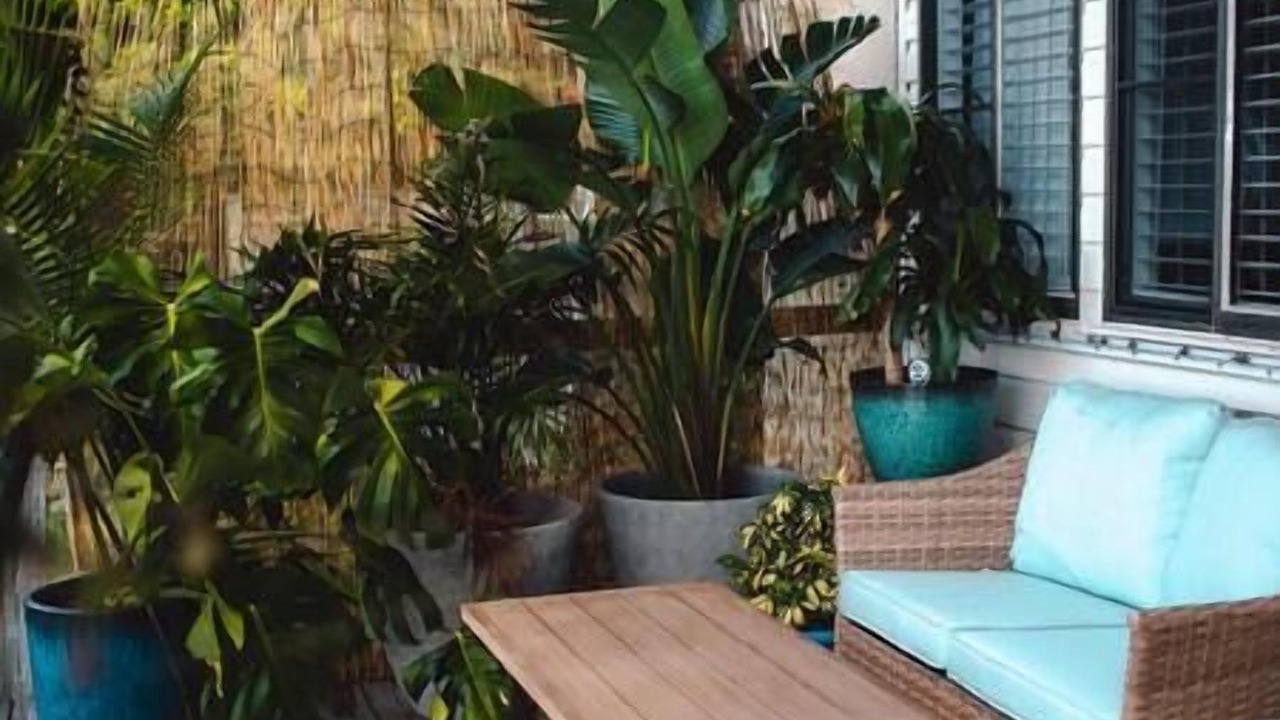Photo of Outdoor in Estate Pastory