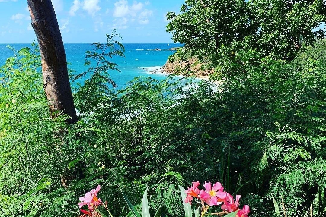 Photo of Others in Bolongo Bay