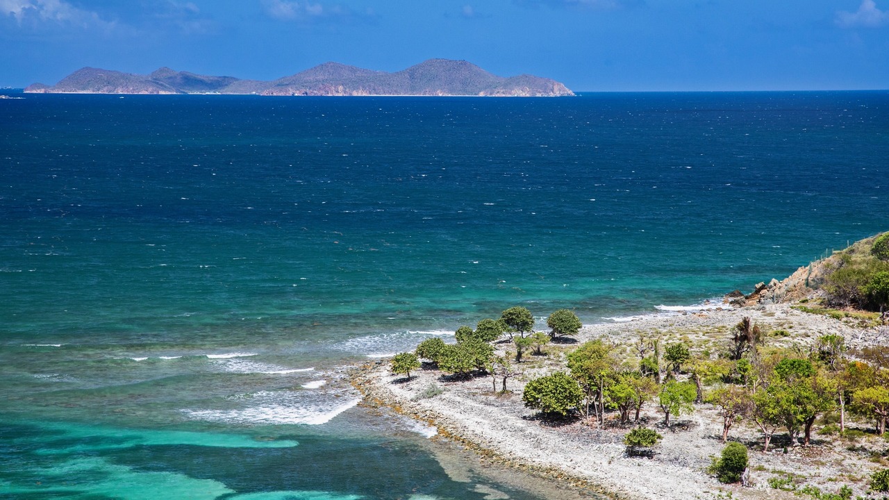 Photo of Others in Estate Hard Labor