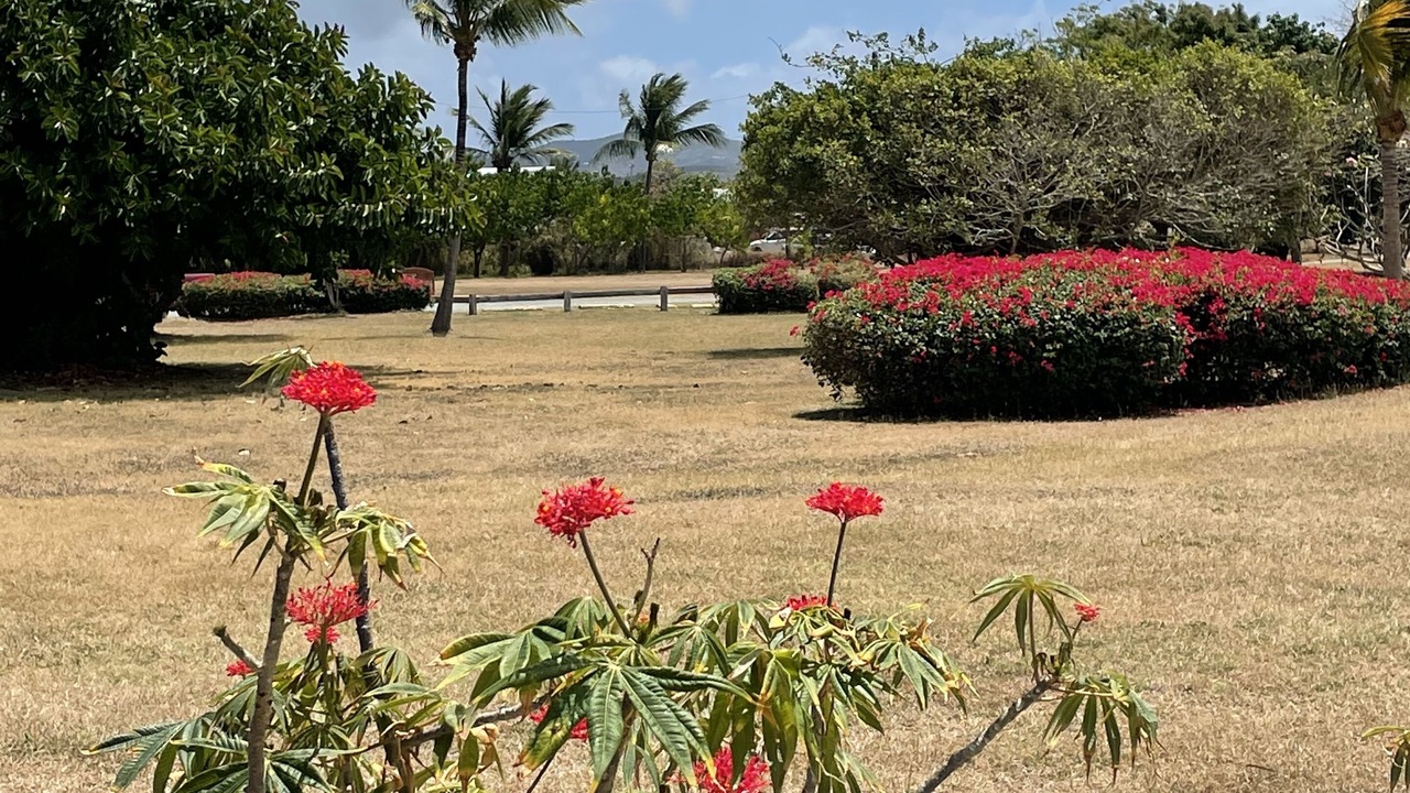 Photo of Outdoor in Estate Golden Rock