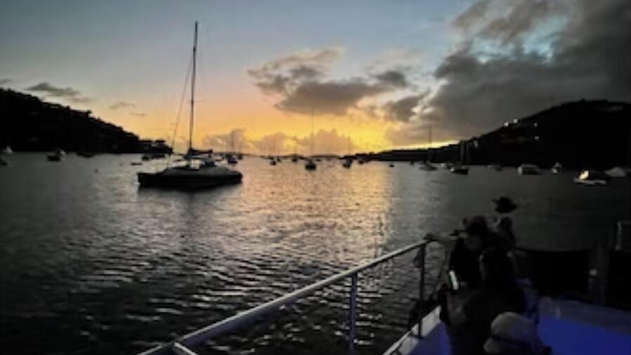 Photo of Others in Great Cruz Bay