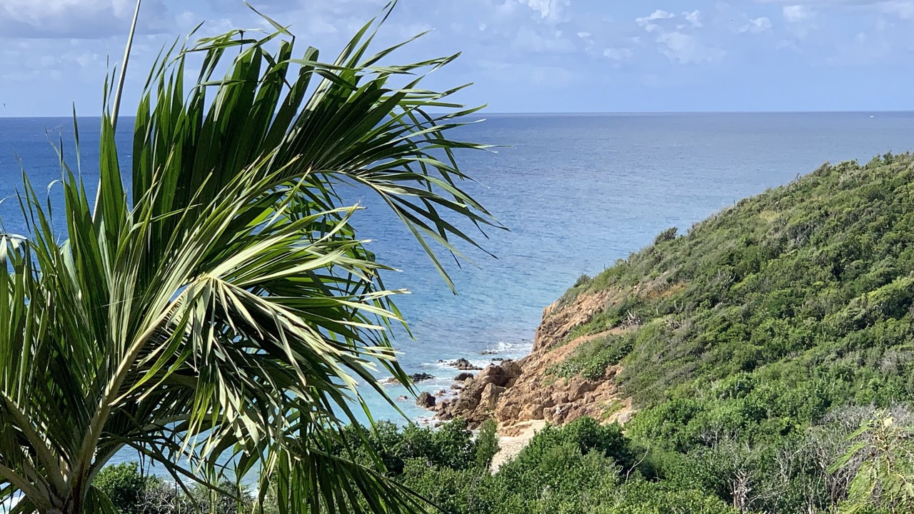 Photo of Others in Bolongo Bay