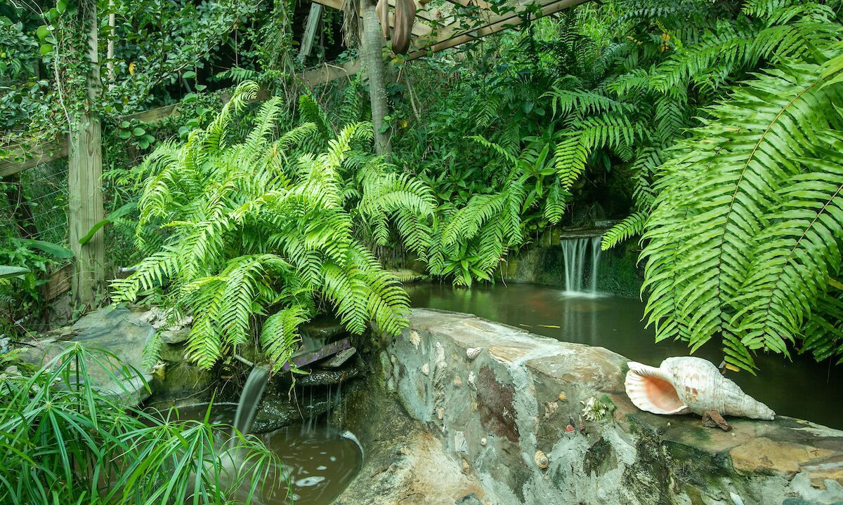 Photo of Outdoor in Estate Pastory
