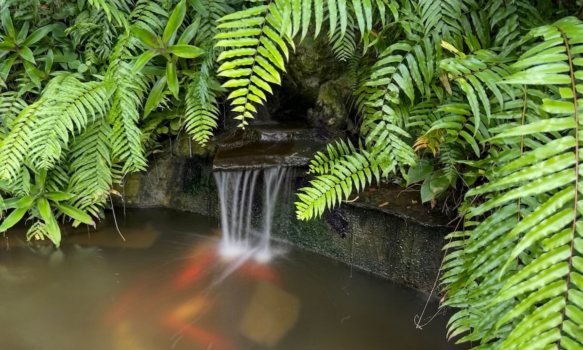 Photo of Outdoor in Estate Pastory