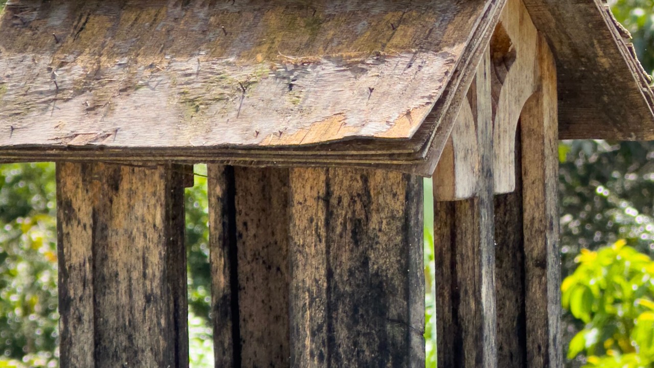 Photo of Outdoor in Estate Pastory