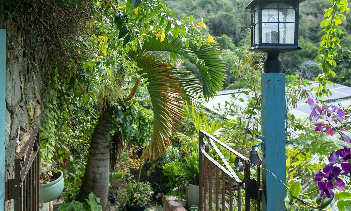 Photo of Outdoor in Estate Pastory