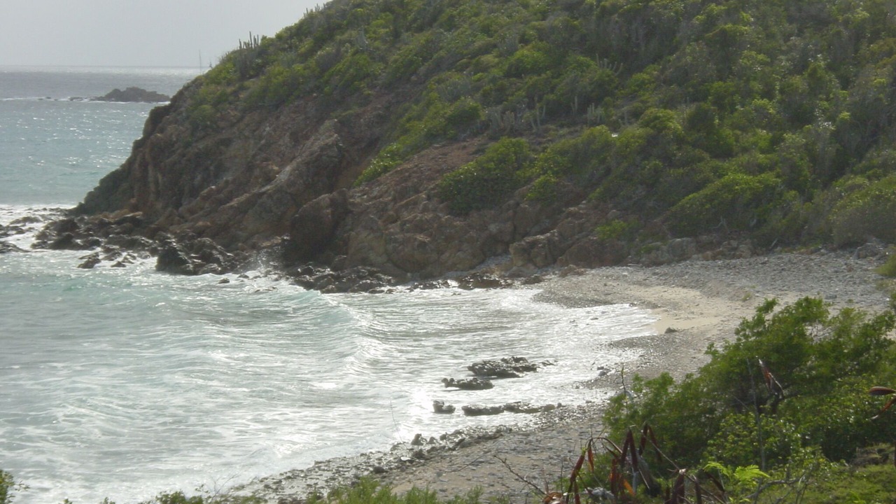 Photo of Others in Bolongo Bay