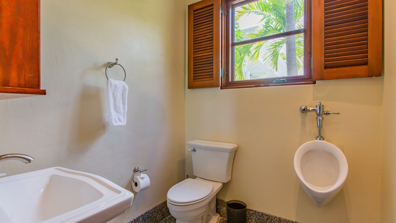 Photo of Others in Christiansted