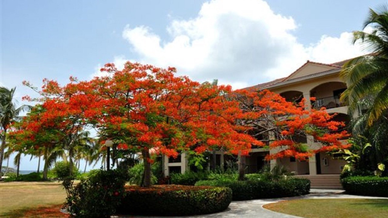Photo of Outdoor in Christiansted