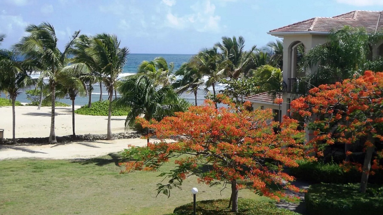 Photo of Outdoor in Christiansted