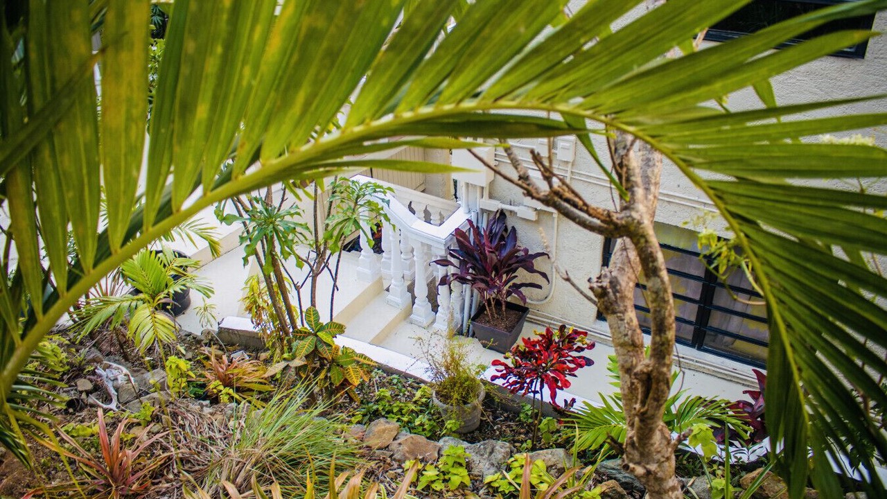 Photo of Outdoor in Estate Pastory
