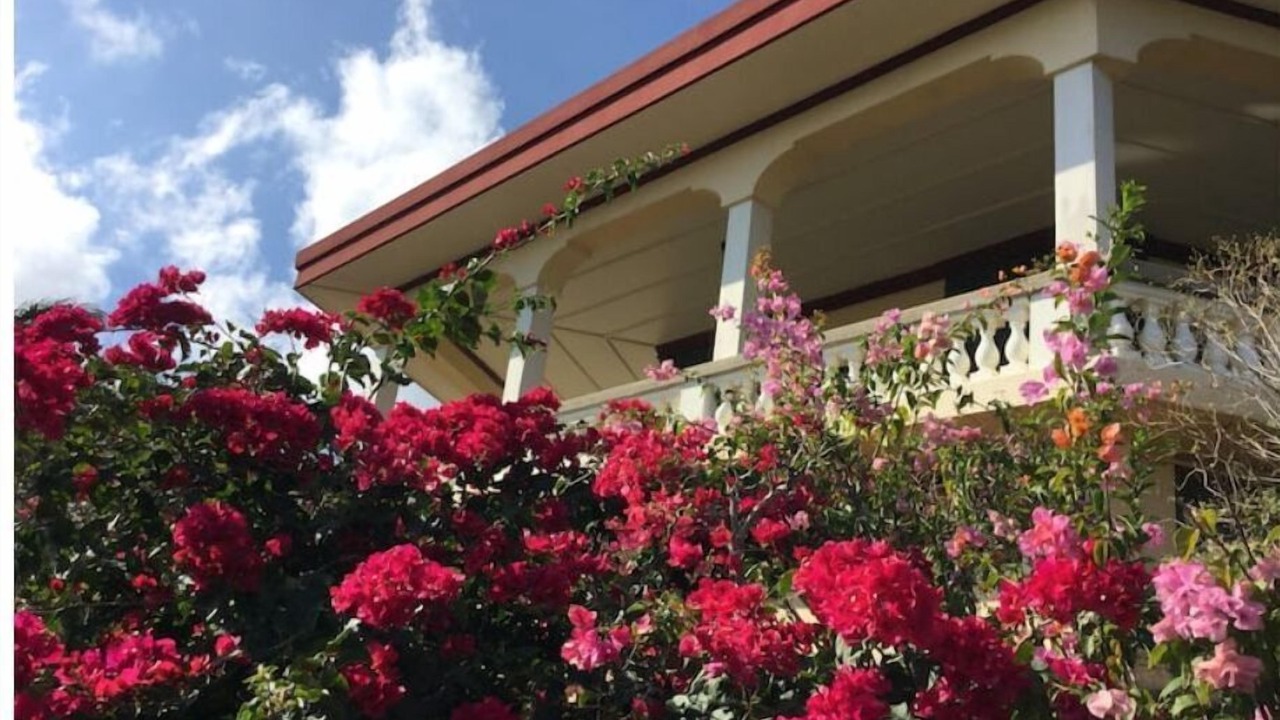 Photo of Outdoor in Estate Charlotte Amalie