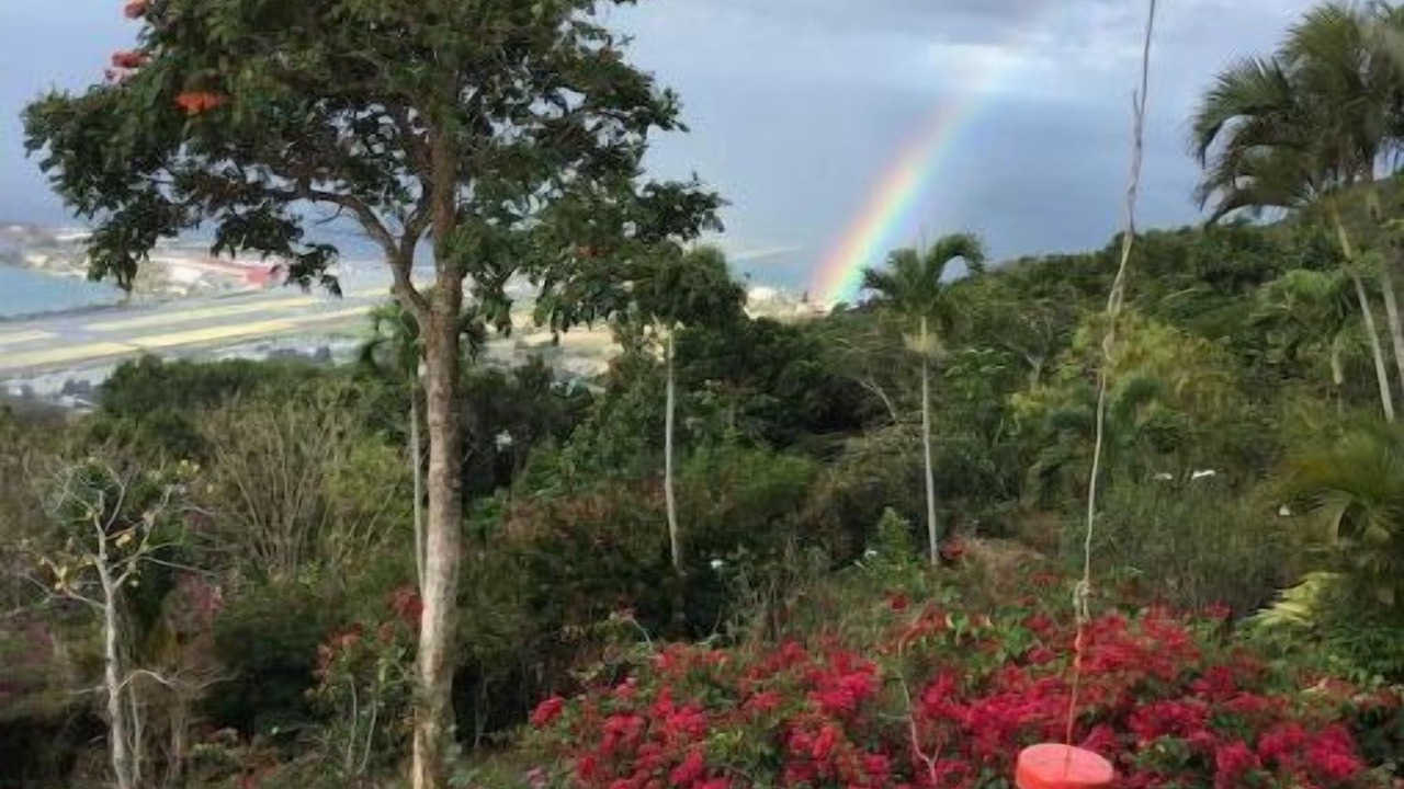 Photo of Outdoor in Estate Charlotte Amalie