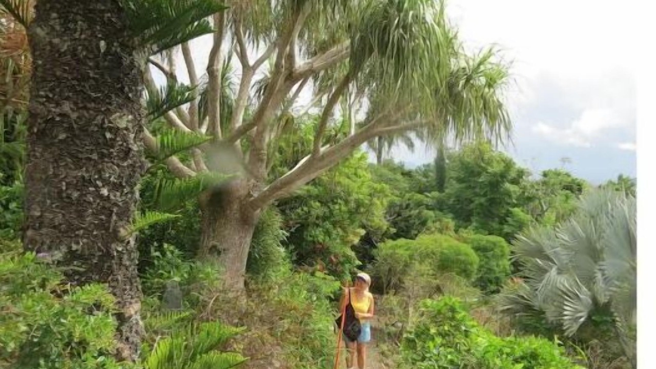 Photo of Others in Estate Charlotte Amalie