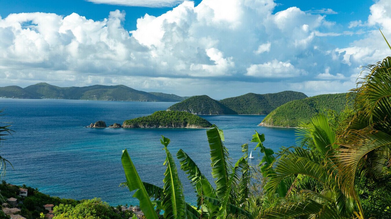 Photo of Others in Maho Bay Quarter