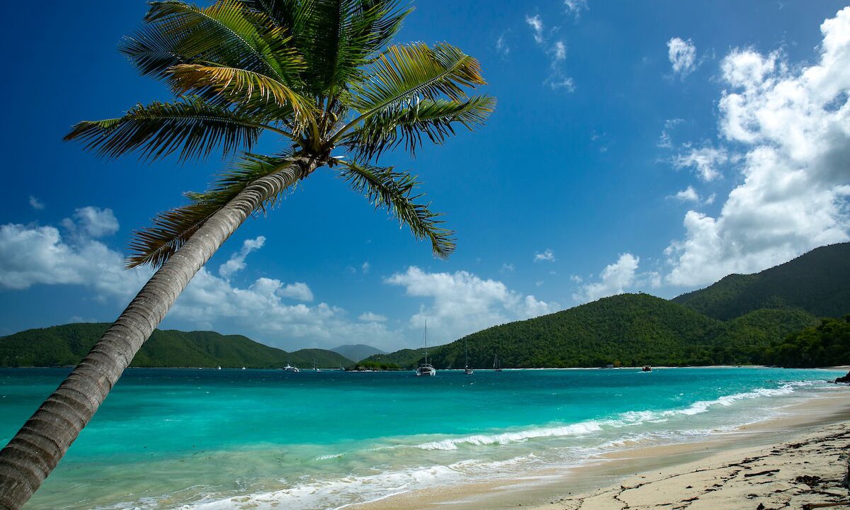Photo of Others in Maho Bay Quarter