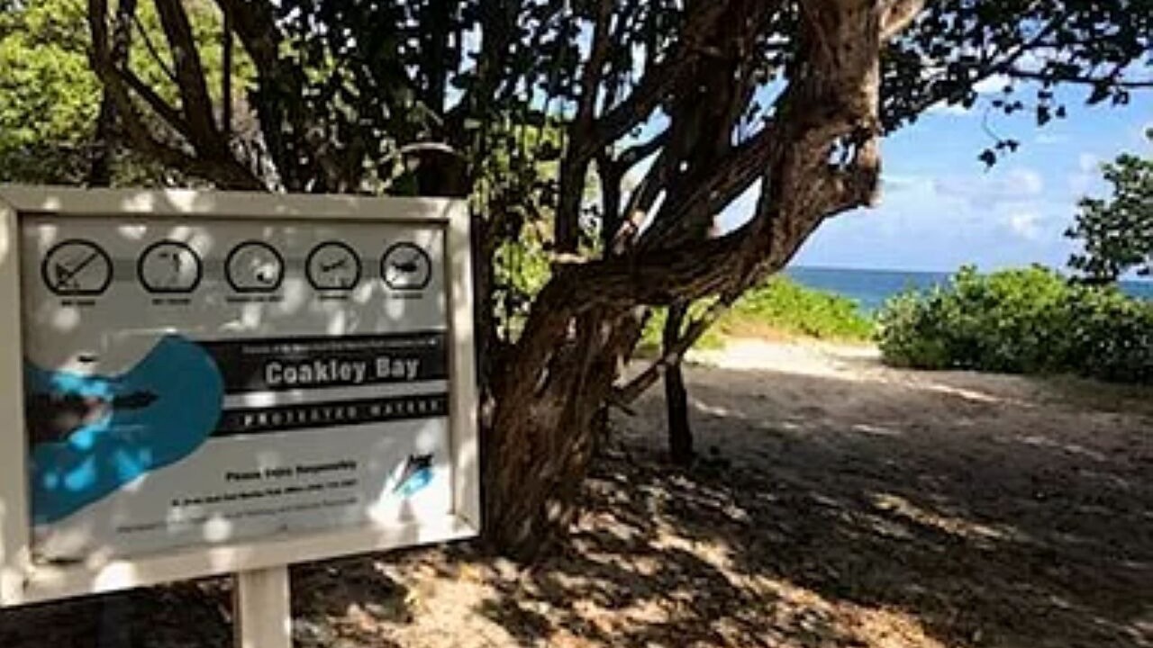 Photo of Others in Estate Coakley Bay