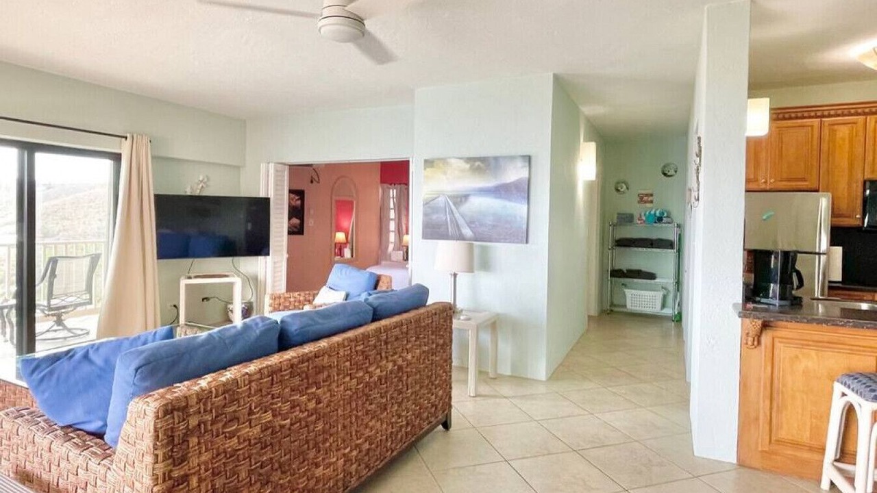 Photo of Livingroom in Estate Lindbergh Bay