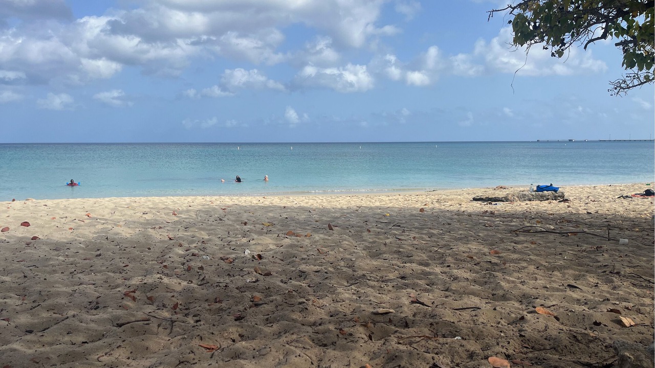 Photo of Others in Frederiksted Southeast