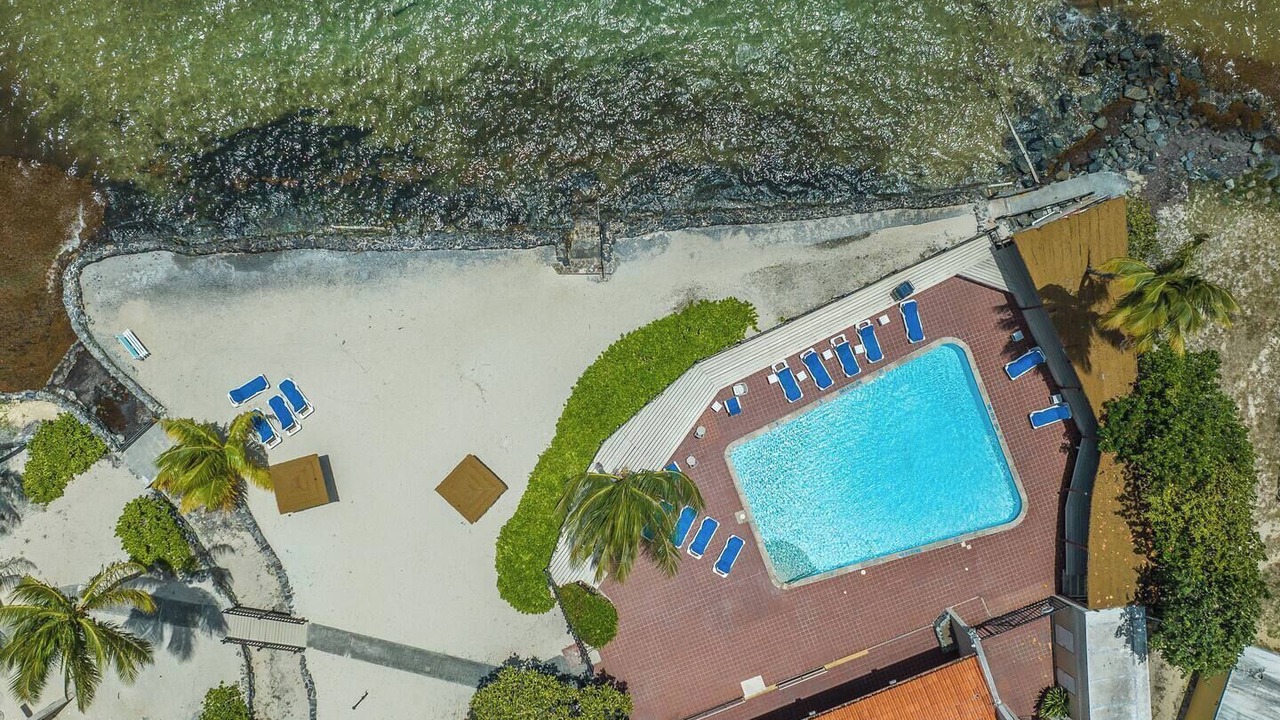 Photo of Outdoor in Orange Grove