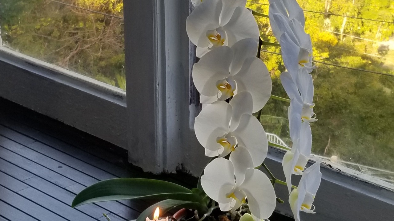 Photo of Outdoor in Rosendal
