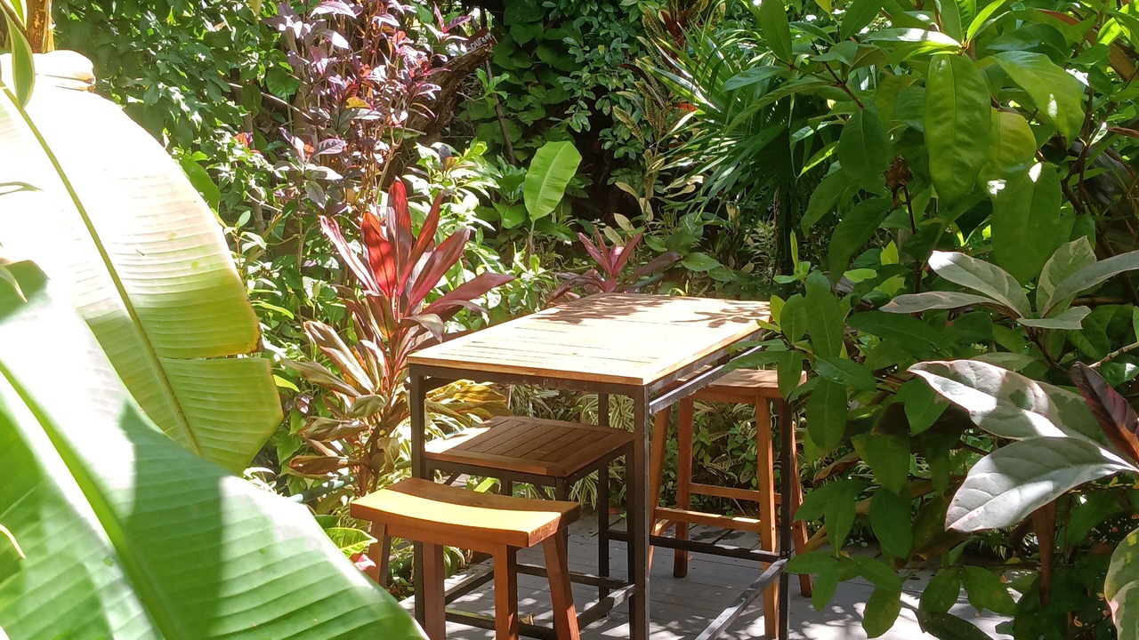Photo of Outdoor in Estate Little Princess South