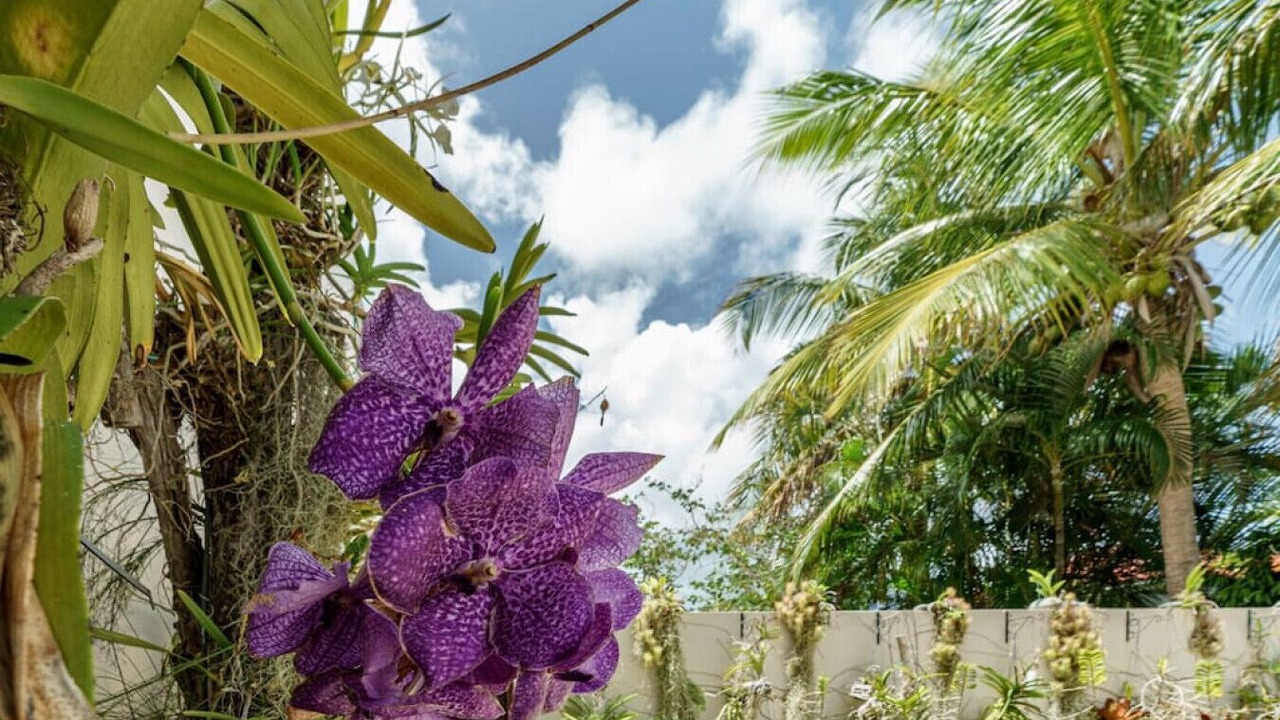 Photo of Outdoor in Estate Peterborg