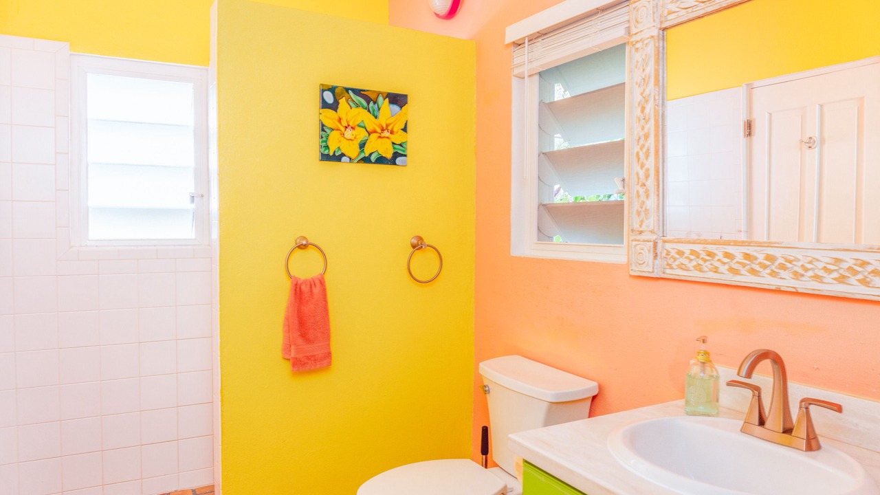 Photo of Bathroom in Estate Calabash Boom