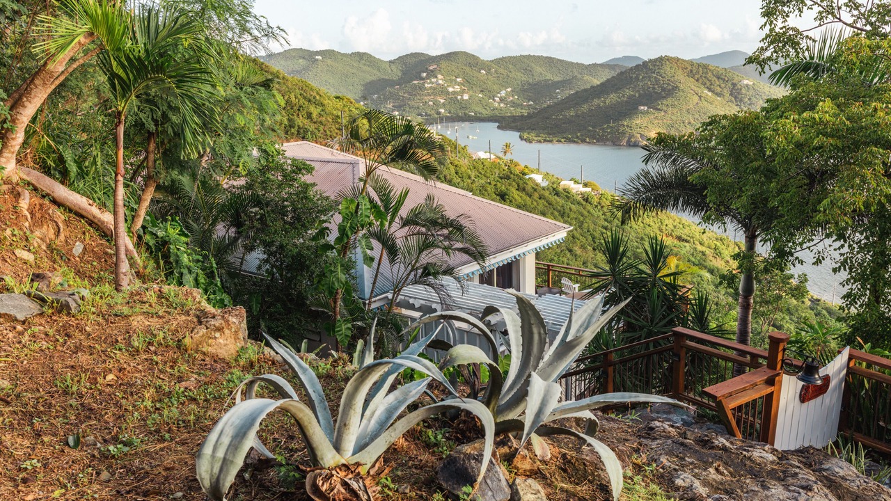 Photo of Outdoor in Estate Calabash Boom