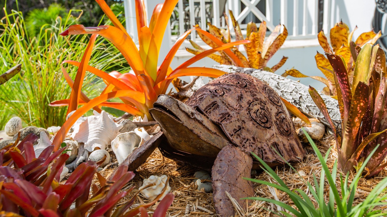 Photo of Outdoor in Green Cay