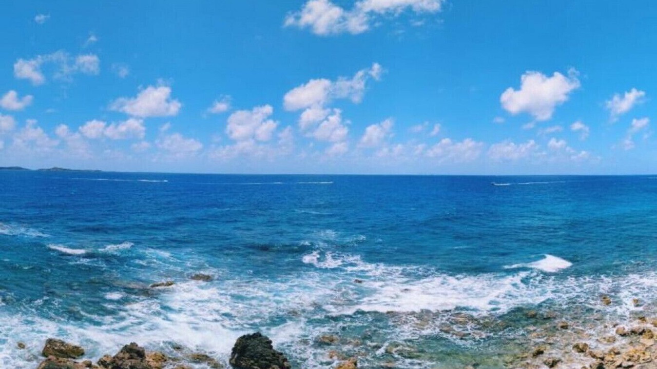 Photo of Others in Bolongo Bay
