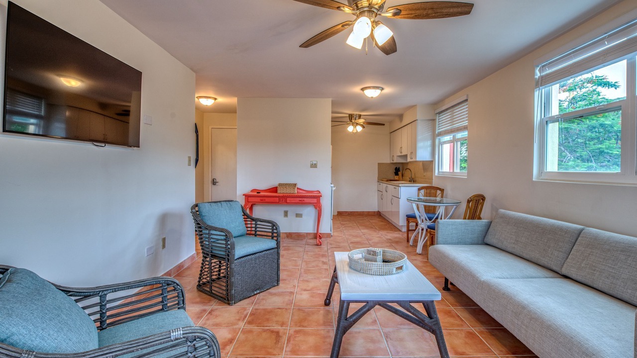 Photo of Livingroom in Estate Caneel Bay