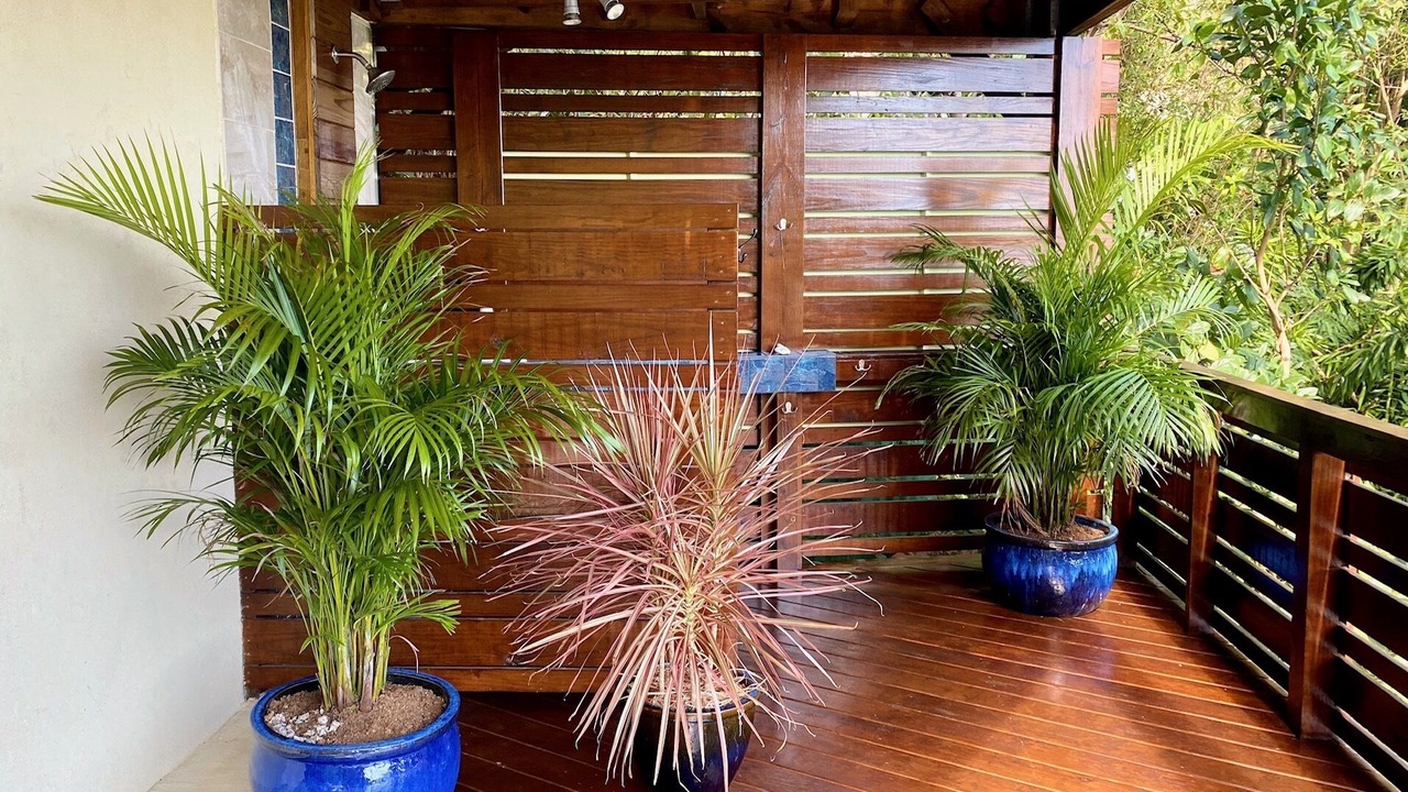 Photo of Outdoor in Estate Carolina