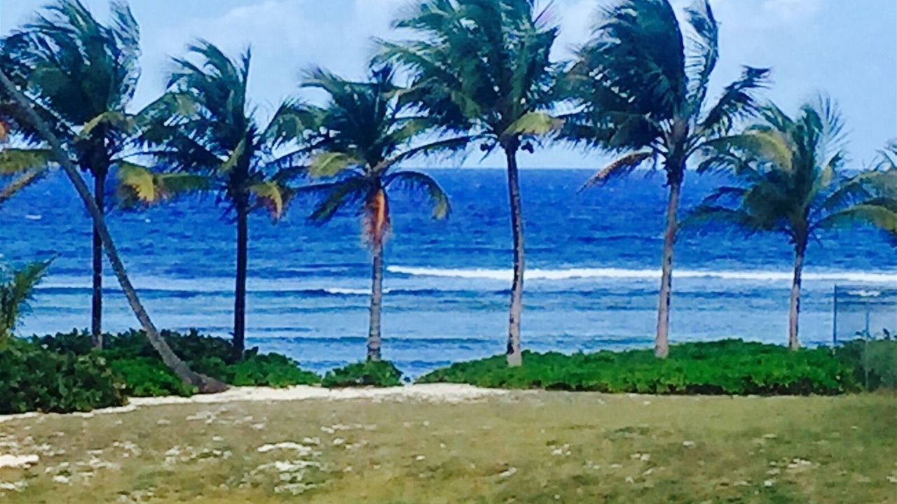 Photo of Others in Christiansted
