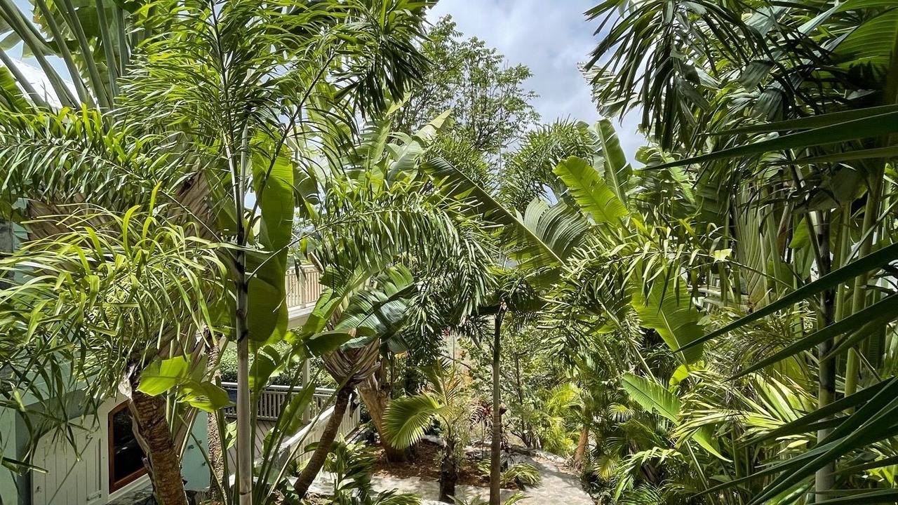 Photo of Outdoor in Maho Bay Quarter
