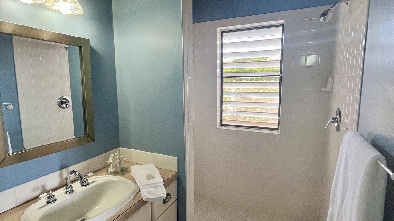 Photo of Bathroom in Estate Marys Fancy