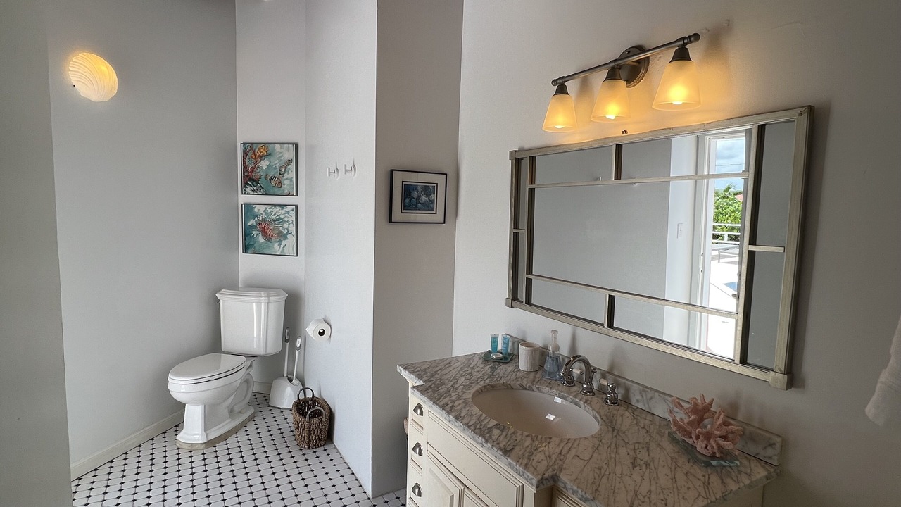 Photo of Bathroom in Estate Marys Fancy