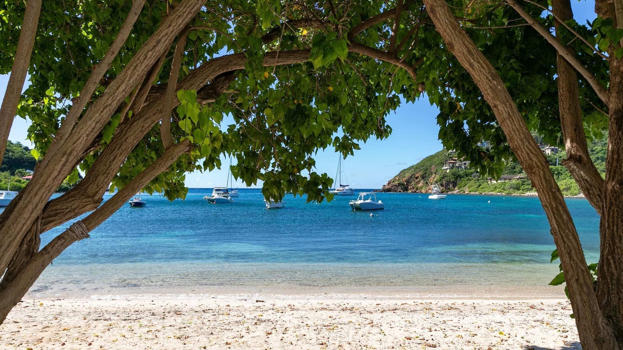 Photo of Others in Estate Chocolate Hole and Great Cruz Bay